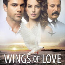 Wings of Love